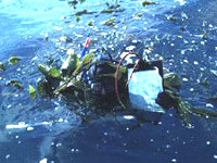 Огромно количество пластмасови отпадъци и фосфорни торове замърсяват океаните, се
